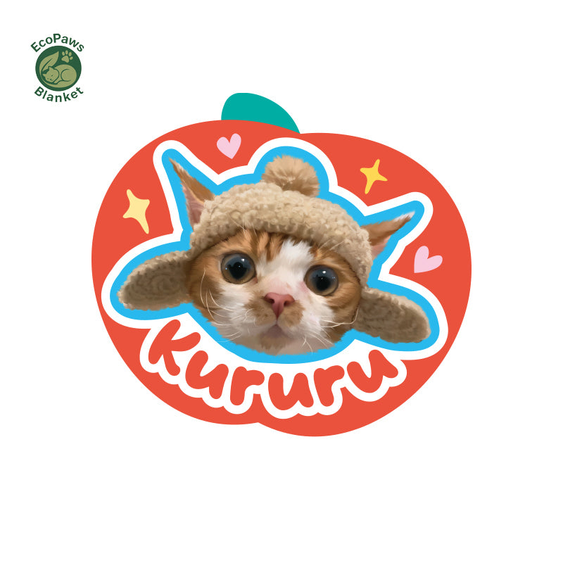 Customized Pet Rugs (Customized Portraits and Names) Pet Memorabilia