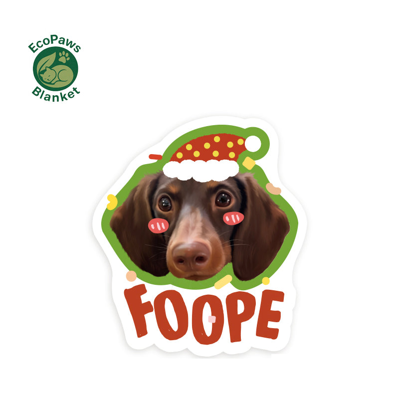 Customized Pet Rugs (Customized Portraits and Names) Pet Memorabilia