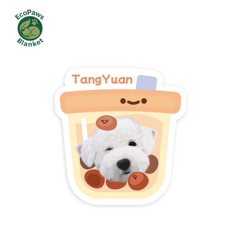 Customized Pet Rugs (Customized Portraits and Names) Pet Memorabilia