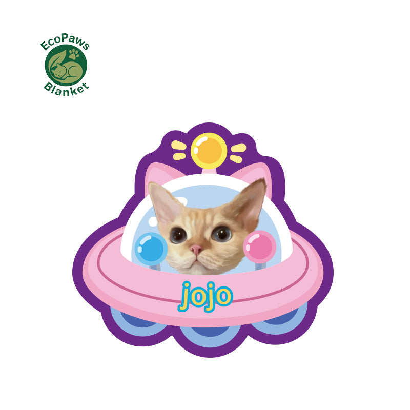 Customized Pet Rugs (Customized Portraits and Names) Pet Memorabilia