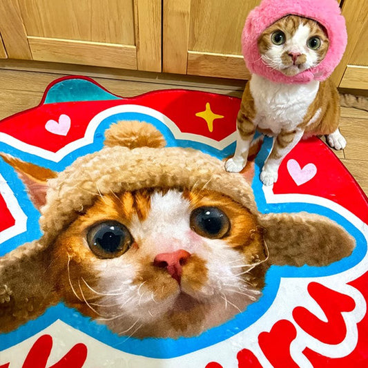 Customized Pet Rugs (Customized Portraits and Names) Pet Memorabilia