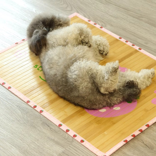 EcoPaws Blanket Bamboo Cooling Mat for Pets – Eco-Friendly & Antibacterial